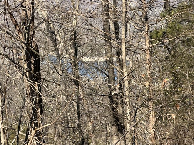 0 Hurricane Ridge Rd, Smithville, TN 37166