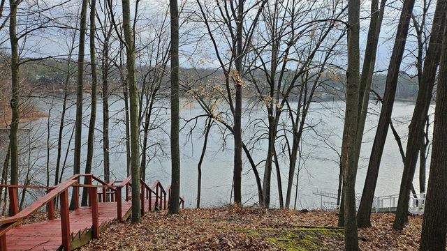 7731 White Birch Drive, Farwell, MI 48622