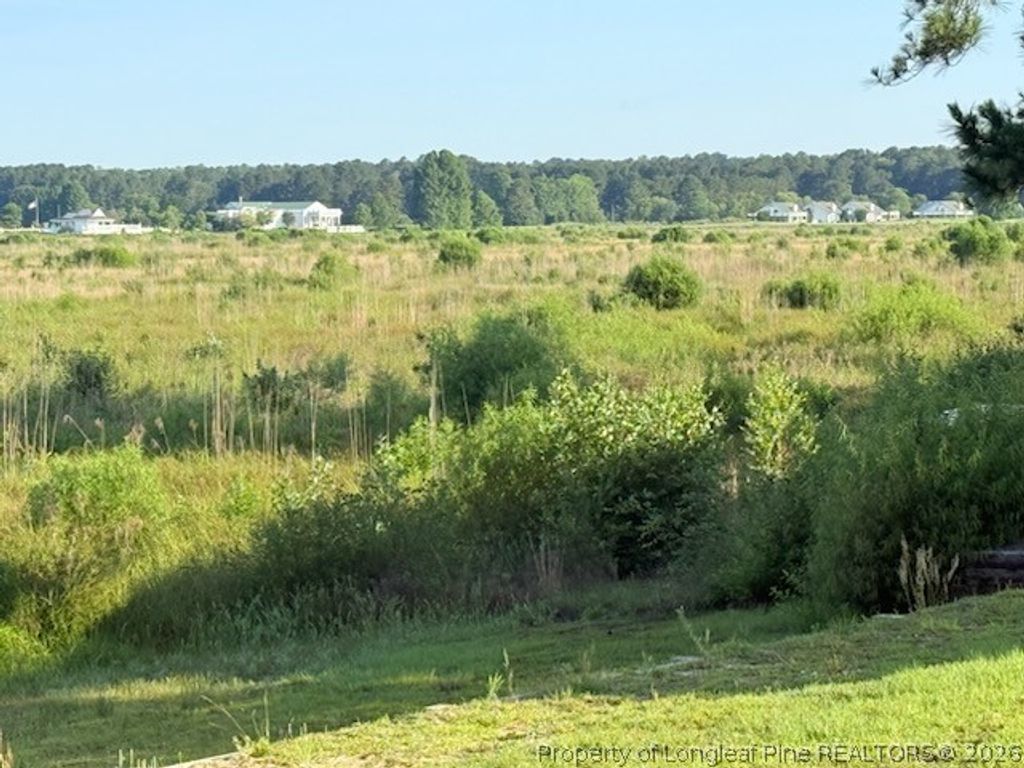 831 Castleberry Court, Vass, NC 28394 — exterior