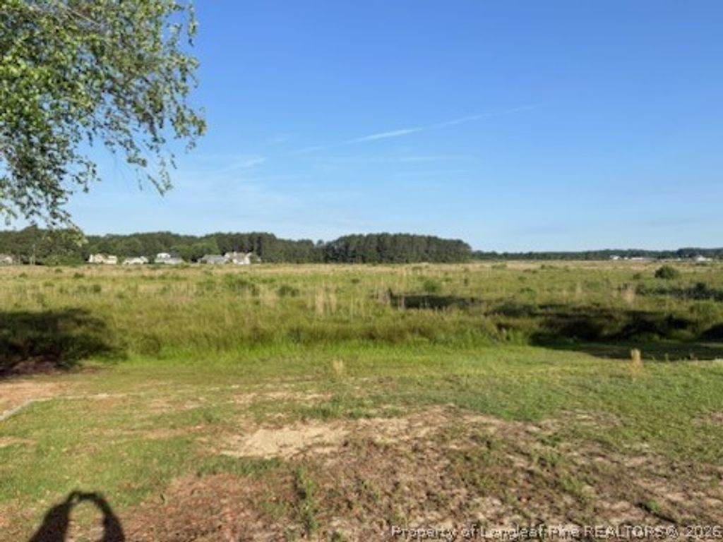 831 Castleberry Court, Vass, NC 28394 — photo 2
