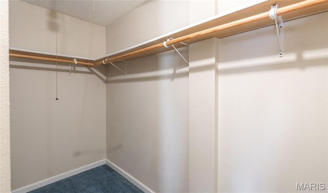 21170 Lapel Road, Waynesville, MO 65583