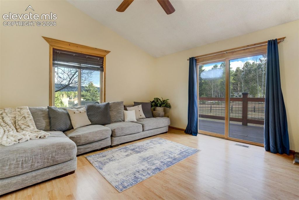 1011 South Avenue, Woodland Park, CO 80863 — photo 4