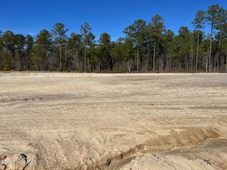 2923 W Timber Crest Lane, Leland, NC 28451