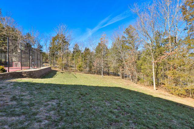 471 Arizona Drive, Branson, MO 65616