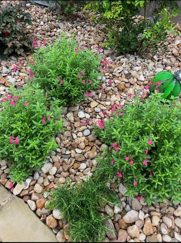 516 Hot Spring VLY, Buda, TX 78610