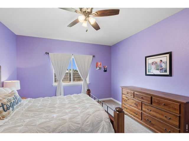 1149 Wagon Wheel Cir, Milliken, CO 80543