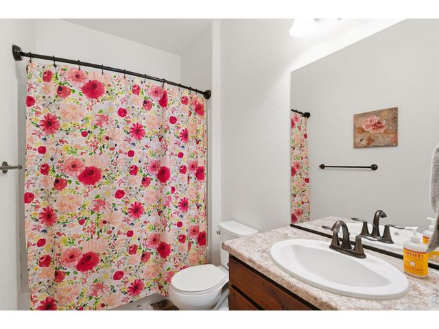 1149 Wagon Wheel Cir, Milliken, CO 80543