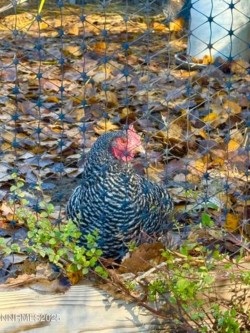 632 Occidental Drive, Dayton, NV 89403