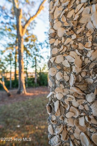 1503 Riverview Terrace, Wilmington, NC 28401