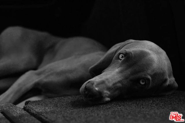 3033 Wilshire Boulevard 1316, Los Angeles, CA 90010