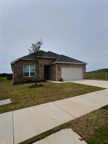 2408 Merganser Street, Princeton, TX 75407