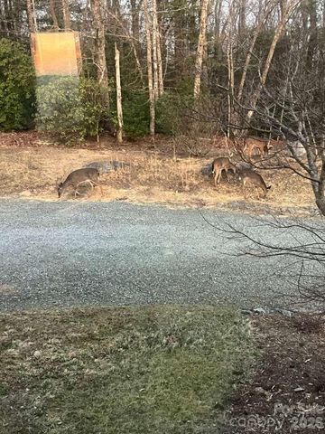 770 Dream Weaver Drive, Penrose, NC 28766