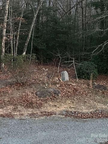 770 Dream Weaver Drive, Penrose, NC 28766