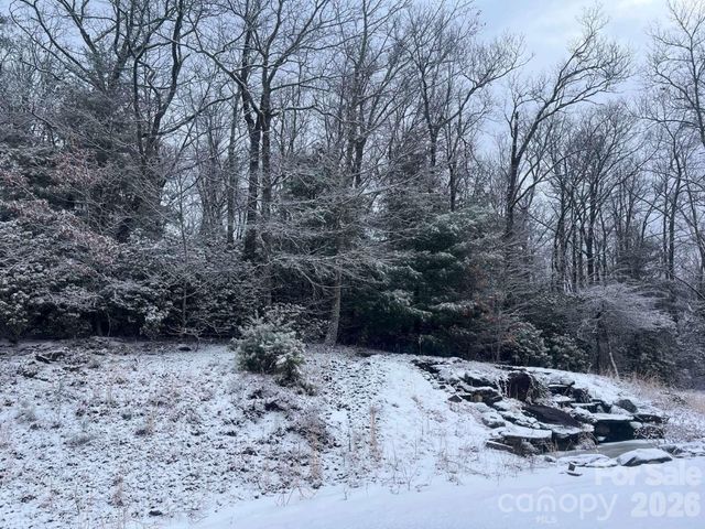 770 Dream Weaver Drive, Penrose, NC 28766