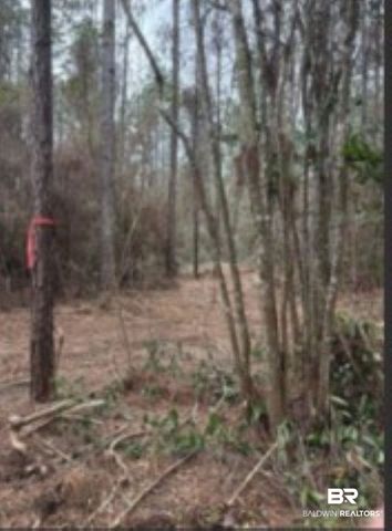 0 Roberts Chapel Road, Mobile, AL 36608