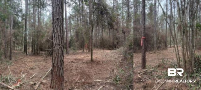 0 Roberts Chapel Road, Mobile, AL 36608