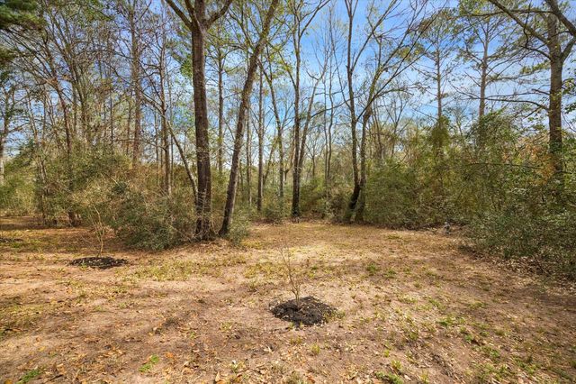 17915 Saddle Horn Drive, Waller, TX 77484