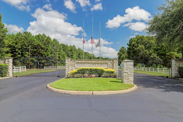 17915 Saddle Horn Drive, Waller, TX 77484