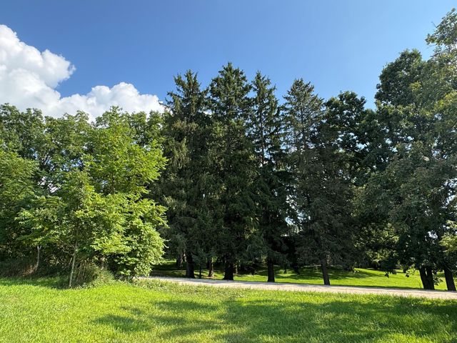 16683 Winters Road, Grass Lake, MI 49240