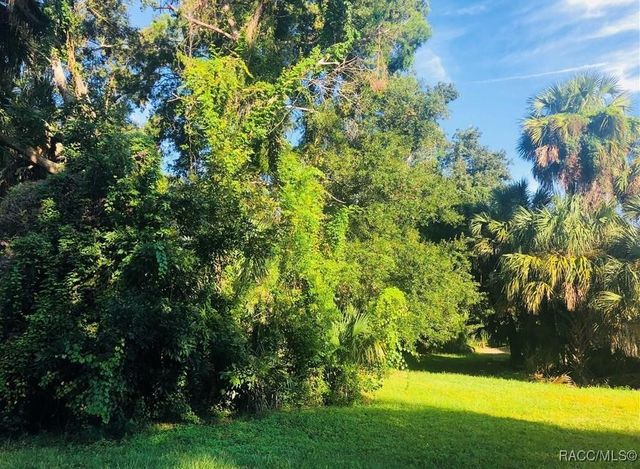 4692 S Gator Loop, Homosassa, FL 34448