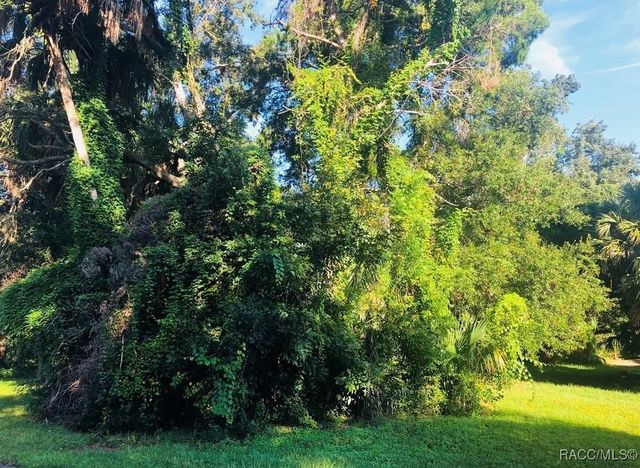 4692 S Gator Loop, Homosassa, FL 34448