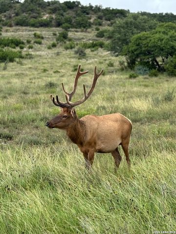 151 KUDU CV, Blanco, TX 78606