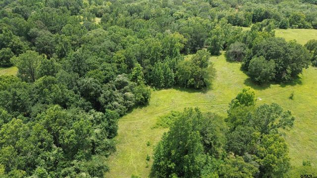 Tract 3 CR 2065, Crockett, TX 75835