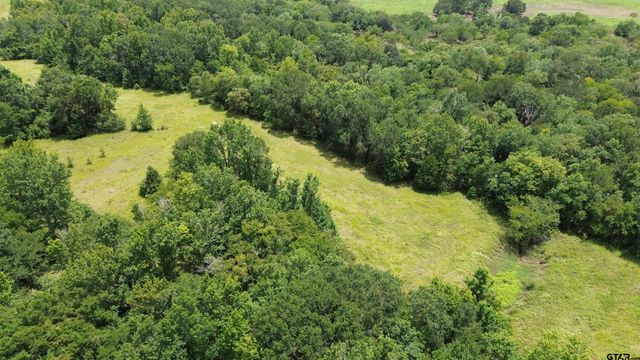 Tract 3 CR 2065, Crockett, TX 75835