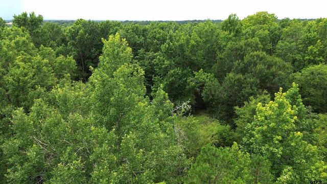Tract 3 CR 2065, Crockett, TX 75835