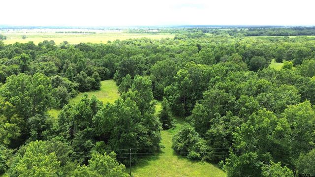 Tract 3 CR 2065, Crockett, TX 75835