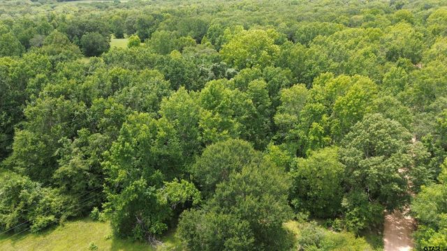 Tract 3 CR 2065, Crockett, TX 75835