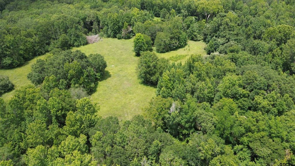 Tract 3 CR 2065, Crockett, TX 75835
