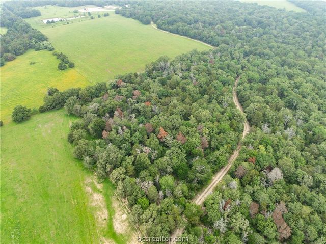 TBD CR 140 & TBD CR 142 TBD County Road 140 & 142, Caldwell, TX 77836