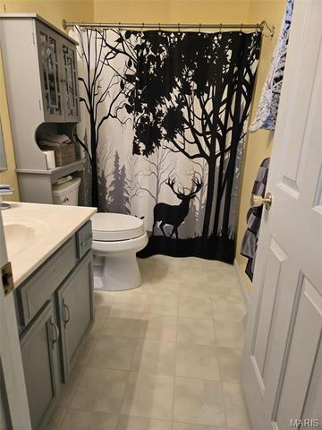 1362 Oakwood Drive, St Clair, MO 63077