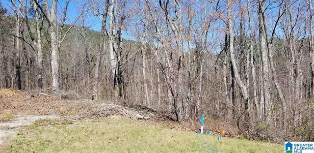 Lot 40 AUTUMN VIEW DRIVE, Chelsea, AL 35147