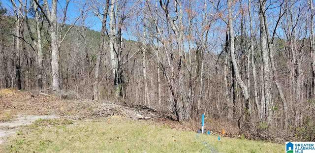 Lot 40 AUTUMN VIEW DRIVE, Chelsea, AL 35147