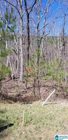Lot 40 AUTUMN VIEW DRIVE, Chelsea, AL 35147