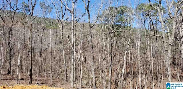 Lot 40 AUTUMN VIEW DRIVE, Chelsea, AL 35147