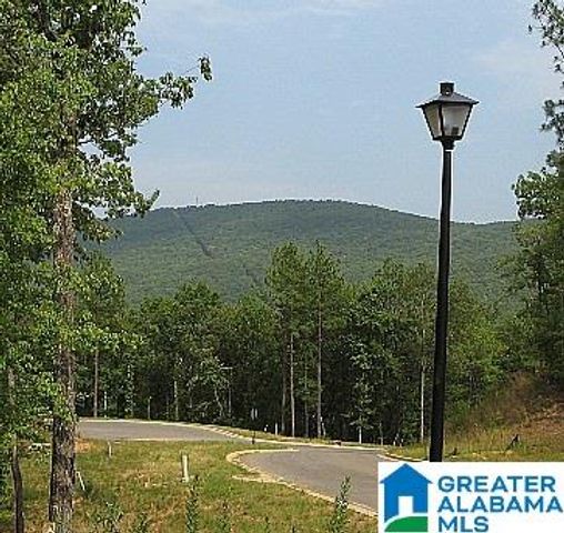 Lot 40 AUTUMN VIEW DRIVE, Chelsea, AL 35147