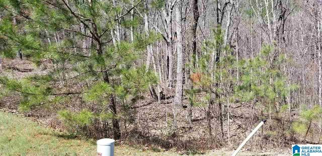 Lot 40 AUTUMN VIEW DRIVE, Chelsea, AL 35147