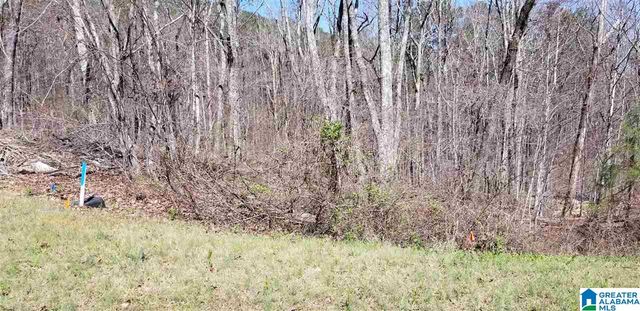 Lot 40 AUTUMN VIEW DRIVE, Chelsea, AL 35147