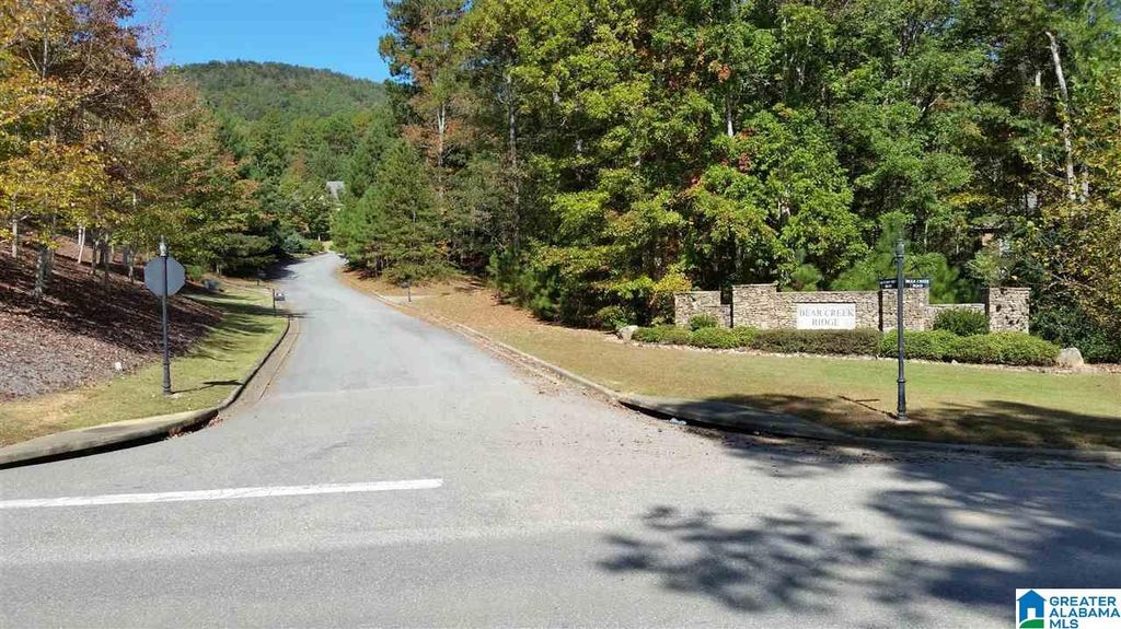 Lot 40 AUTUMN VIEW DRIVE, Chelsea, AL 35147