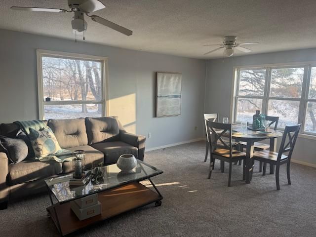 16442 460th Street, Zumbrota, MN 55992