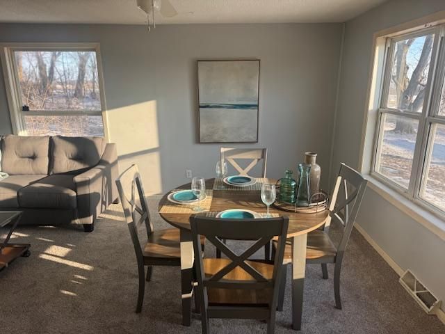 16442 460th Street, Zumbrota, MN 55992