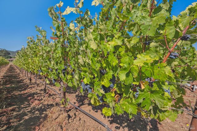 17260 Arnold Dr, Sonoma, CA 95476