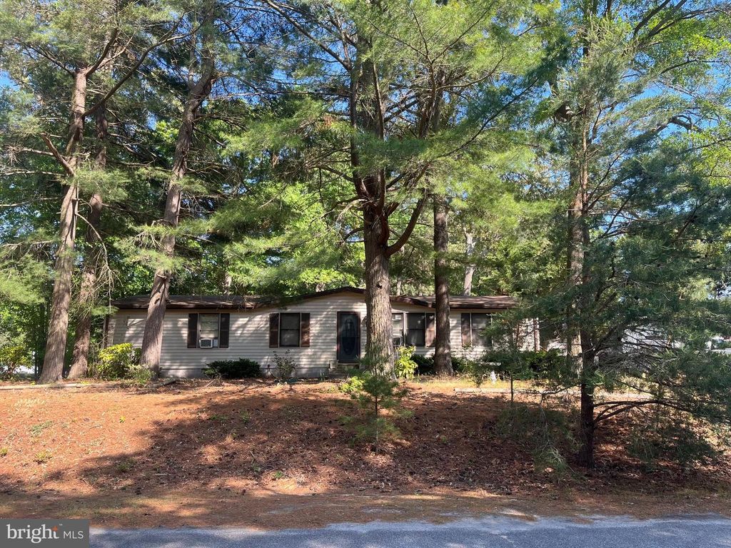 30891 CHESTNUT DR, Millsboro, DE 19966