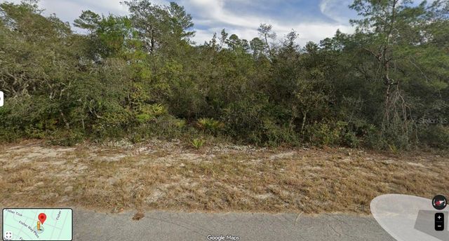 FISHER TRACE TRAIL, Ocklawaha, FL 32179