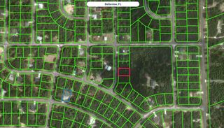 FISHER TRACE TRAIL, Ocklawaha, FL 32179