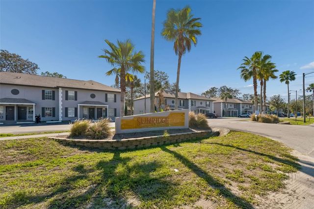 5156 SUNRIDGE PALMS DRIVE, Tampa, FL 33617