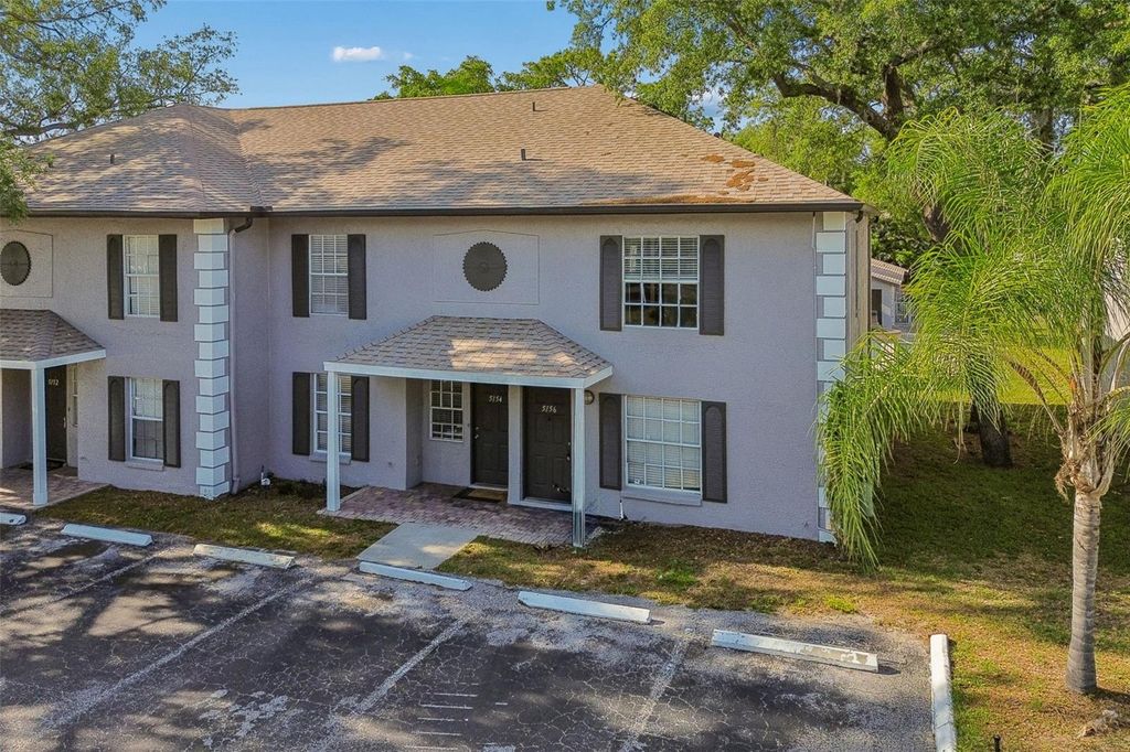 Image 2 of property listing at 5156 SUNRIDGE PALMS DRIVE, Tampa, FL 33617